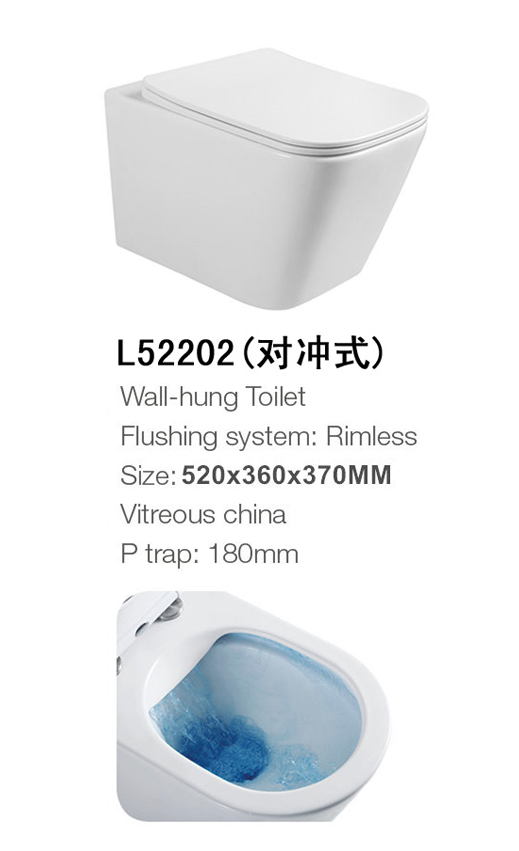 L52202(对冲式)