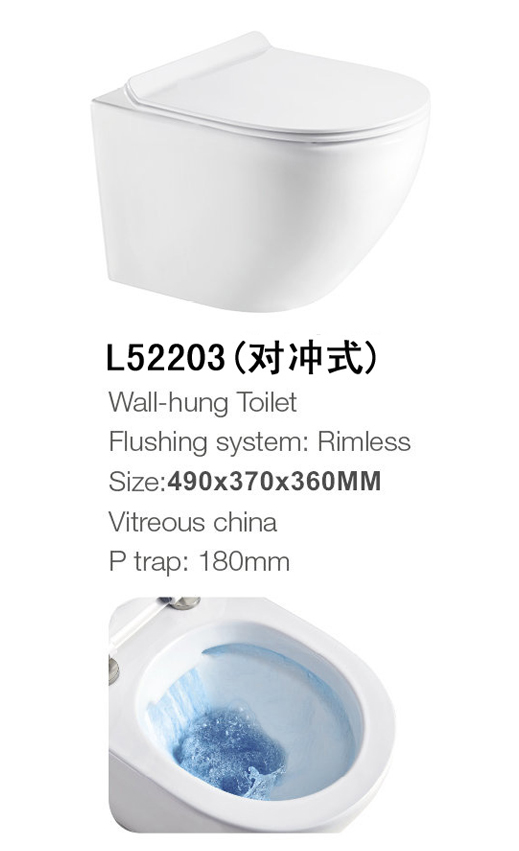 L52203(对冲式)