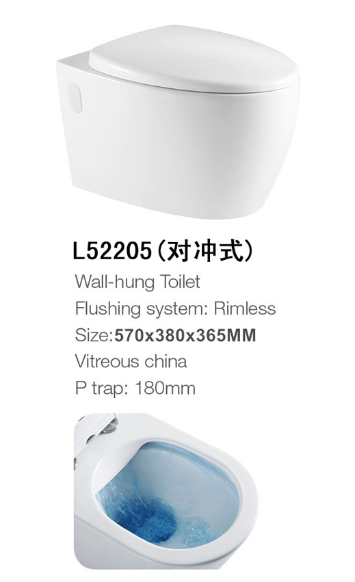 L52205(对冲式)