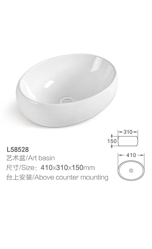 L58528